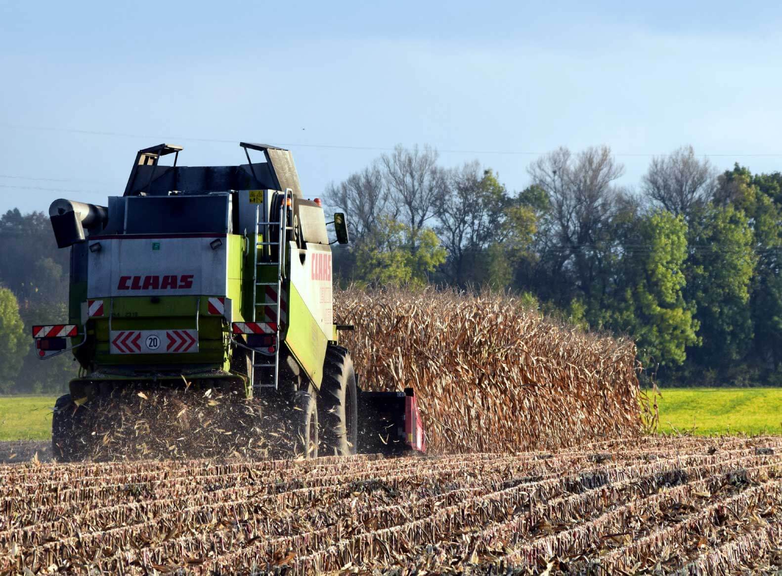 martin-sommer-landwirtschaft Dr. Martin Sommer Landwirtschaft Mähdrescher